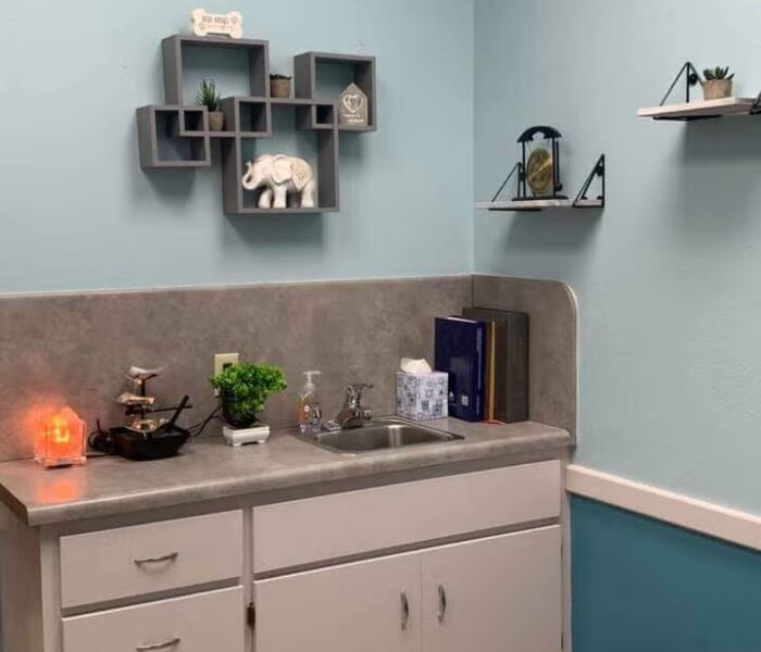 acupuncture_exam_room-2