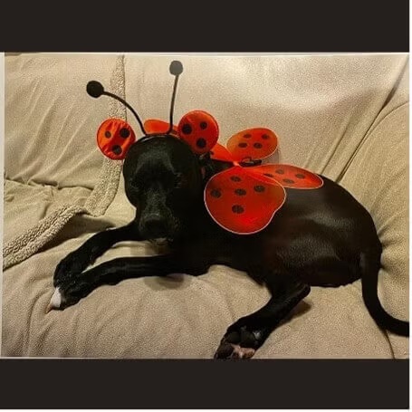 halloween_picture10-2