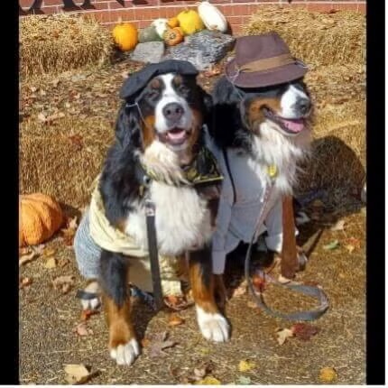 halloween_picture12-2