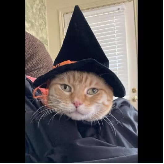 halloween_picture_4-2