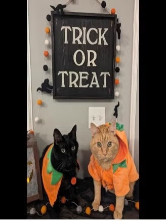 halloween_picture_7