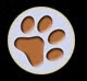 Animal Health Care Center Paw Print Icon Animal Health Care Center Paw Print Icon