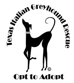Texas Italian Greyhound Rescue Partnership Texas Italian Greyhound Rescue logo